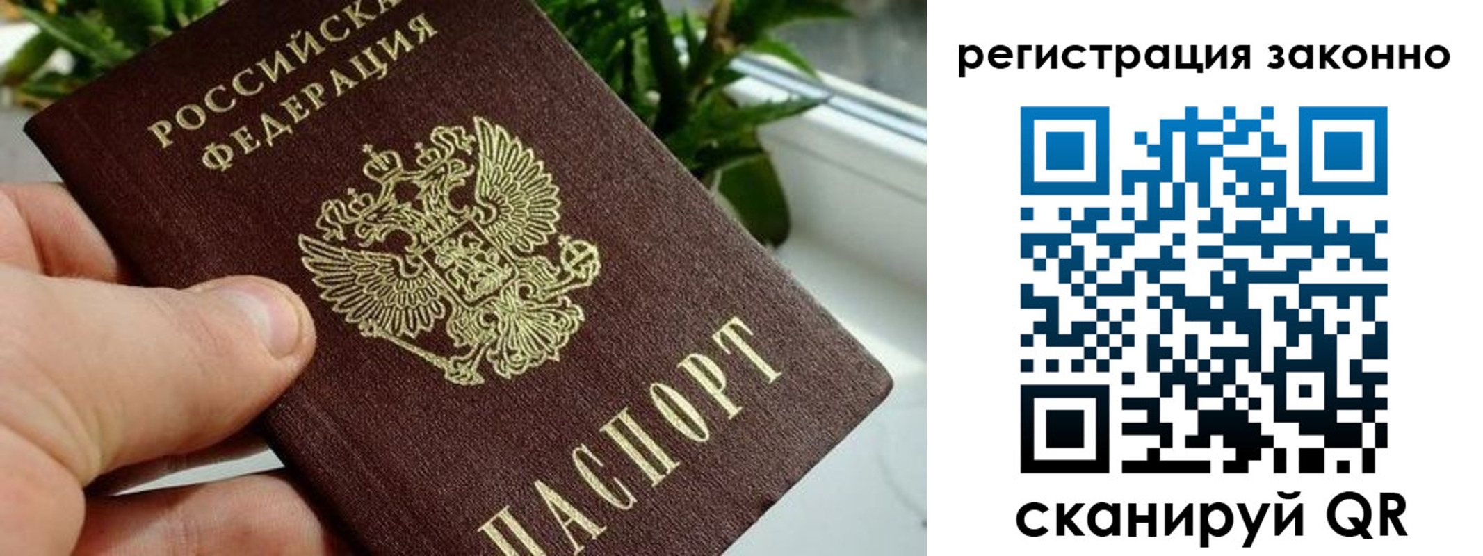 прописка гарантия в Чайковском